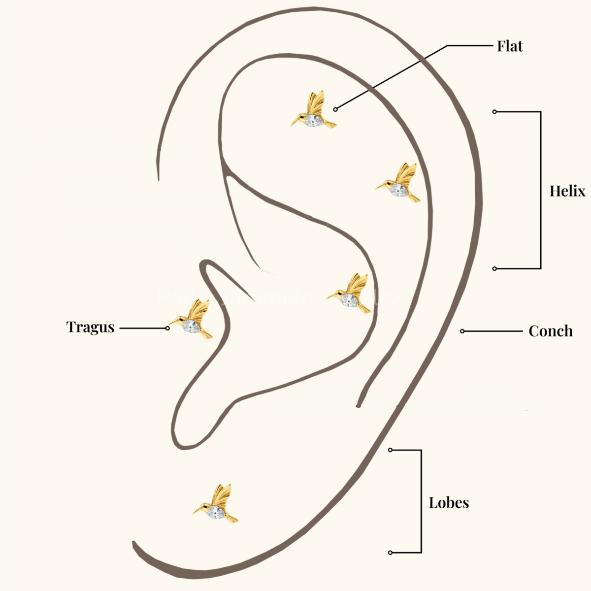 PIERCING COLIBRI BLANCO