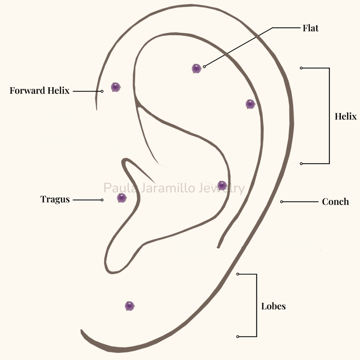 PIERCING GEODA AMATISTA