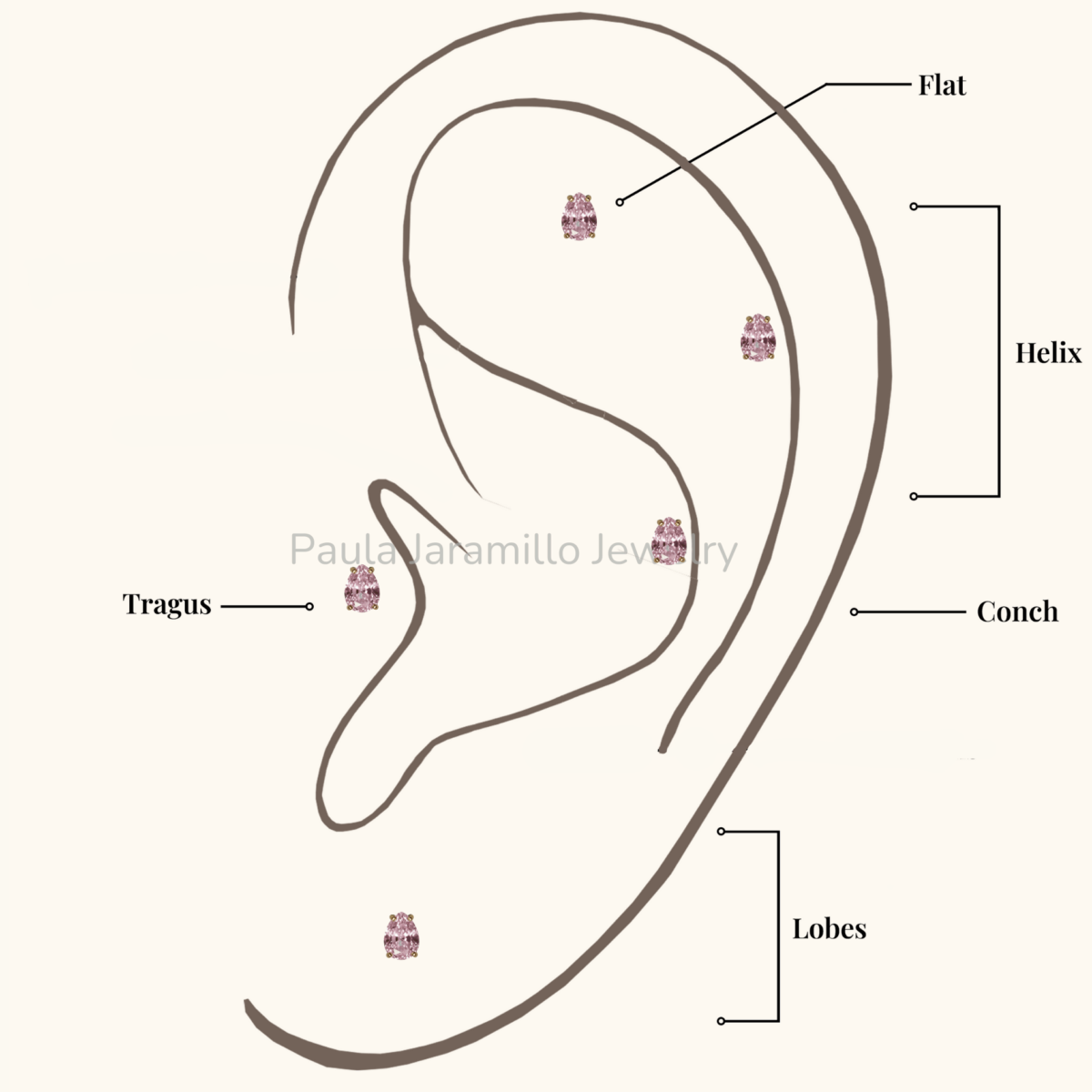 PIERCING OLIMPO ROSA