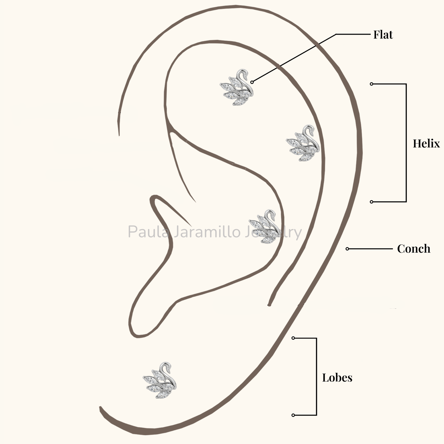 PIERCING CISNE BLANCO - Imagen 4
